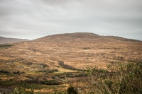 09032013-08777-southwest