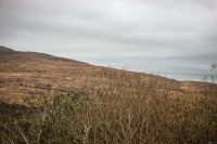 09032013-08778-southwest