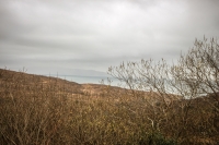 09032013-08779-southwest