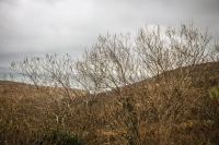 09032013-08780-southwest