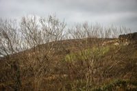 09032013-08781-southwest