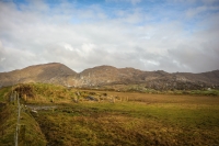 09032013-08833-southwest