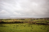 09032013-08868-southwest