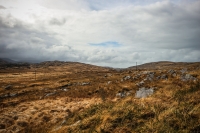 09032013-08885-southwest
