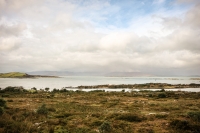 09032013-08895-southwest