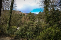 27042013-10418-sans-titre