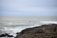 27042013-10635-sans-titre