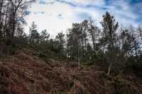 18032013-09516-sans-titre