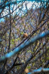 18032013-09578-sans-titre