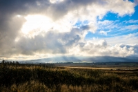 21102012-07513-sans-titre