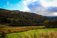 21102012-07519-sans-titre