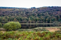 21102012-07521-sans-titre