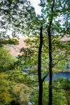 21102012-07526-sans-titre