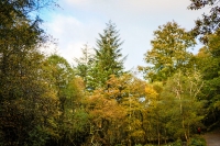 21102012-07530-sans-titre