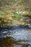 21102012-07572-sans-titre