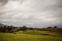 09032013-08950-southwest