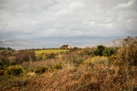 09032013-08953-southwest