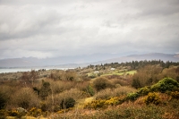 09032013-08955-southwest