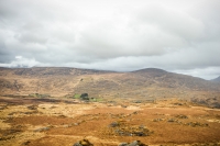 09032013-08995-southwest