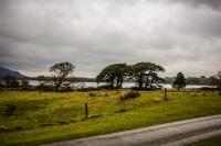 10032013-09109-southwest