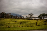10032013-09110-southwest