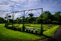 20062012-04694-nationalbotanicgardens