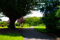 24062012-04711-irlande