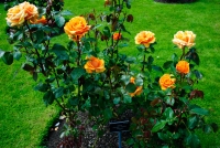 24062012-04745-irlande