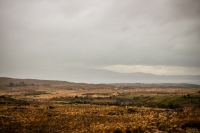 10032013-09137-southwest