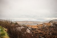 10032013-09170-southwest