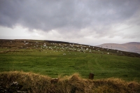10032013-09302-southwest