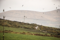 10032013-09310-southwest