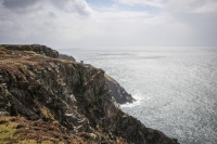 26042013-09947-sans-titre