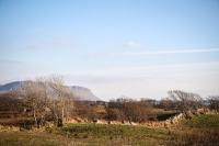 29032013-09673-sans-titre