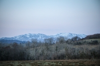 29032013-09707-sans-titre