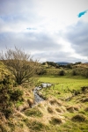 03032013-08173-wicklow_mountains