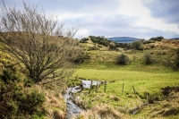 03032013-08174-wicklow_mountains