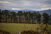 03032013-08177-wicklow_mountains