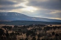 03032013-08181-wicklow_mountains