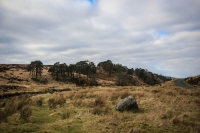 03032013-08182-wicklow_mountains