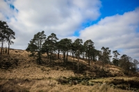 03032013-08185-wicklow_mountains