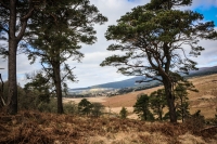 03032013-08188-wicklow_mountains