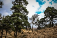 03032013-08190-wicklow_mountains