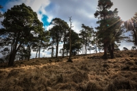 03032013-08193-wicklow_mountains