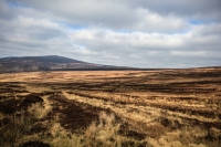 03032013-08197-wicklow_mountains