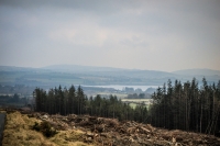 03032013-08243-wicklow_mountains