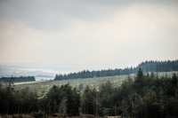 03032013-08247-wicklow_mountains