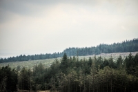 03032013-08248-wicklow_mountains