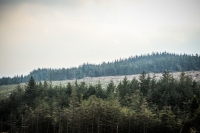 03032013-08249-wicklow_mountains