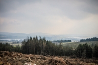 03032013-08250-wicklow_mountains